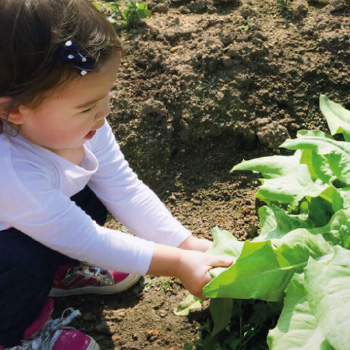 https://farmflow.org/wp-content/uploads/2018/05/Visual_Blog-GardeningKids.jpg